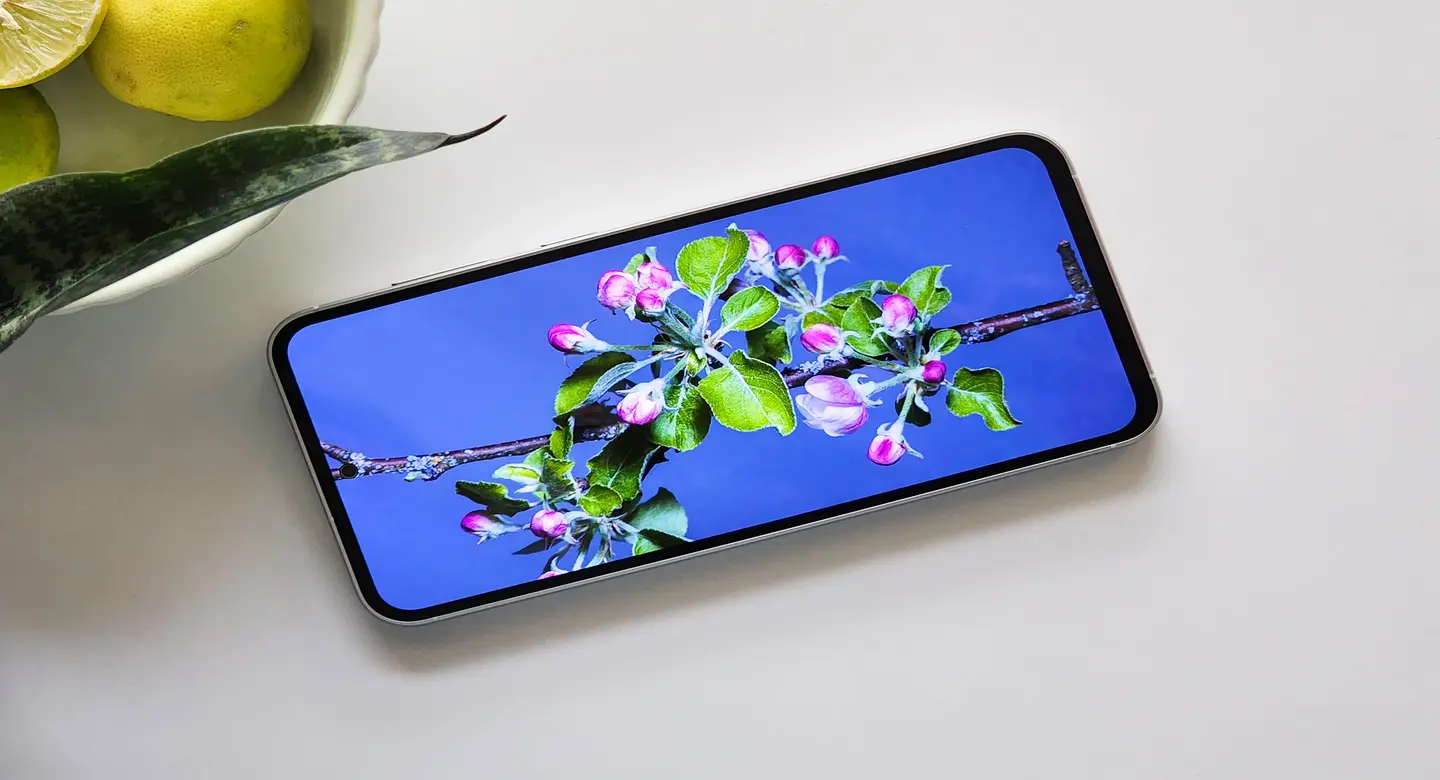 صفحه نمایش Galaxy S23 FE